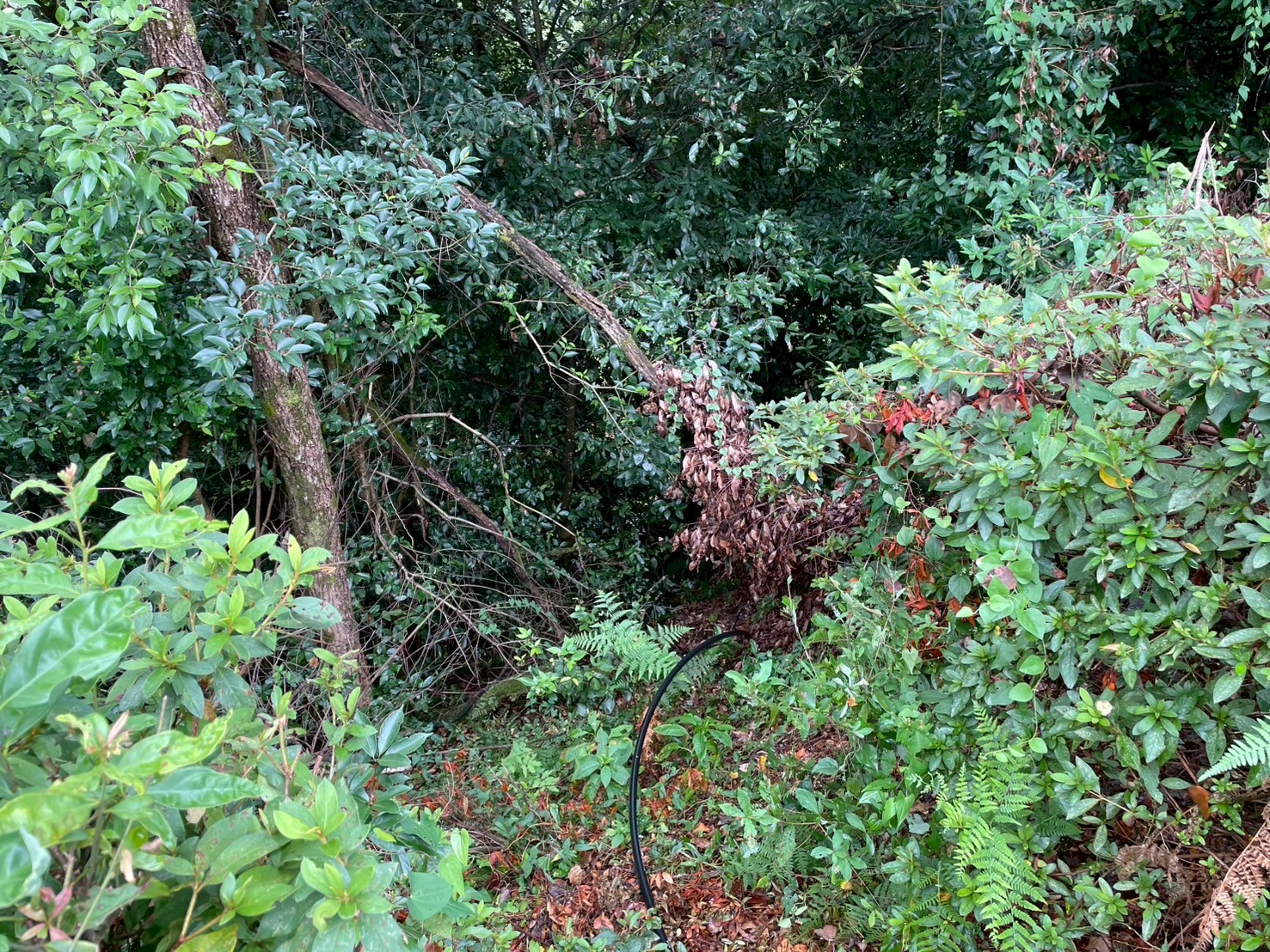 豊田市　加圧給水ポンプの設置工事